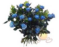  Ankara ucuz �i�ek g�nder  11 adet mavi g�l �zel tanzim