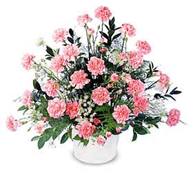  Ankara �i�ek ma�azas� , �i�ek�i adresleri  Karanfillerden �zel aranjman sepet i�inde