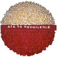 arma anitkabire - mozele i�in  Ankara �nternetten �i�ek sipari�i 