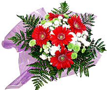 karisik gerbera ve kir �i�egi   Ankaraya �i�ek yolla 