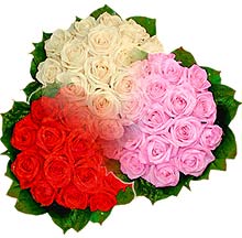 3 renkte g�l seven sever   Ankara ucuz �i�ek g�nder 