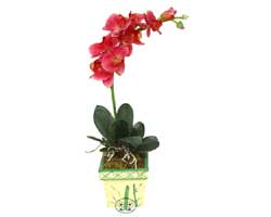 Yapay Phalonepsis Pembe   Ankara cicek , cicekci 