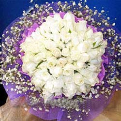71 adet beyaz g�l buketi   Ankara ucuz �i�ek g�nder 