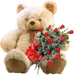 kocaman ayicik ve 10 g�l   Ankara ucuz �i�ek g�nder 