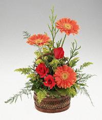  Ankara yurti�i ve yurtd��� �i�ek sipari�i  sepet i�erisinde 3 g�l ve 3 gerbera tanzimi