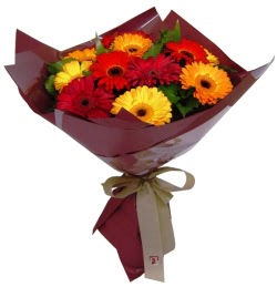  Ankara hediye sevgilime hediye �i�ek  13 ADET KARISIK GERBERA BUKETI