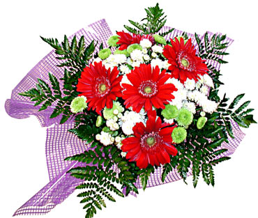 gerbera ve krizantem demeti  Ankara 14 �ubat sevgililer g�n� �i�ek 