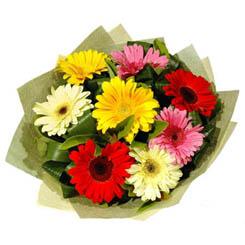 9 adet karisik gerbera demeti  Ankara �i�ek sipari�i vermek 