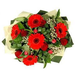  Ankara �i�ek sat���   5 adet kirmizi g�l 5 adet gerbera demeti