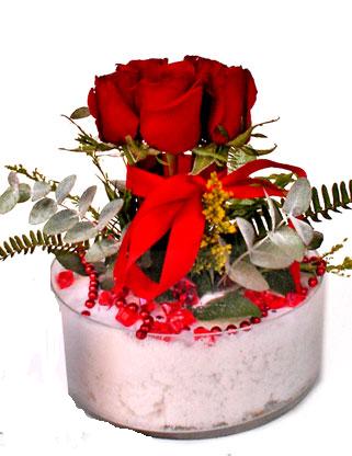  Ankara �i�ek�iler  SEVMEK G�ZEL DIYENLERE 7 ADET G�L