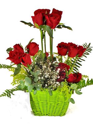  Ankara yurti�i ve yurtd��� �i�ek sipari�i  �i�ek siparisi 9 adet kirmizi g�l