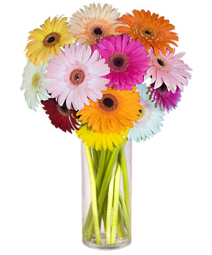  Ankara �i�ek servisi , �i�ek�i adresleri  Farkli renklerde 15 adet gerbera �i�egi