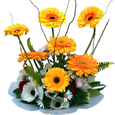 camda gerbera ve mis kokulu kir �i�ekleri  Ankaraya �i�ek yolla 