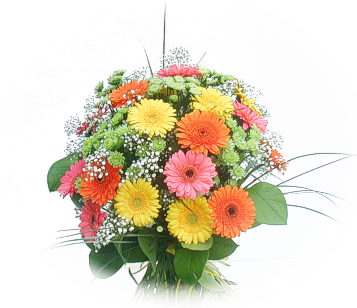 13 adet gerbera �i�egi buketi  Ankara kaliteli taze ve ucuz �i�ekler 