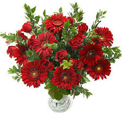 5 adet kirmizi g�l 5 adet gerbera aranjmani  Ankara hediye �i�ek yolla 