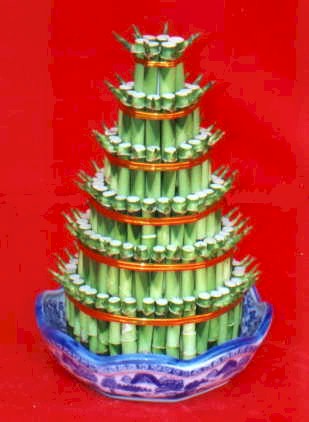 Lucky Bamboo sans melegi �i�egi  Ankara �i�ek online �i�ek sipari�i 