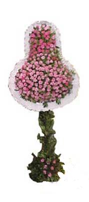  Ankara �i�ek sat���  d�g�n a�ilis �i�ekleri  Ankara �i�ek servisi , �i�ek�i adresleri 