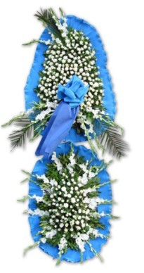  Ankara kaliteli taze ve ucuz �i�ekler  d�g�n a�ilis �i�ekleri  Ankara �i�ek ma�azas� , �i�ek�i adresleri 