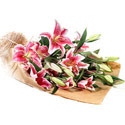  Ankarada �i�ek g�nderme sitemiz g�venlidir  4 adet pembe lilyum buketi 