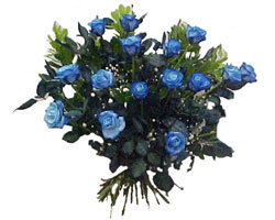  Ankarada �i�ek g�nderme sitemiz g�venlidir  9 mavi g�l g�zel bir buket