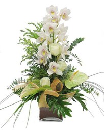  Ankara �i�ek sipari�i vermek  cam vazo i�erisinde 1 dal orkide �i�egi