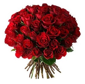  Ankara ucuz �i�ek g�nder  33 adet k�rm�z� g�l buketi