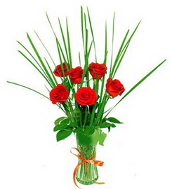  Ankara ucuz �i�ek g�nder  6 adet k�rm�z� g�llerden vazo �i�e�i