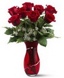 8 adet k�rm�z� g�l sevgilime hediye  Ankarada �i�ek g�nderme sitemiz g�venlidir 
