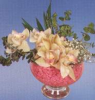  Ankara iek siparii vermek  Dal orkide kalite bir hediye