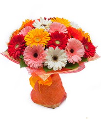 Renkli gerbera buketi  Ankara �i�ek sipari�i sitesi 