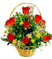 9 adet g�l ve sepette k�r �i�ekleri  Ankara hediye sevgilime hediye �i�ek 