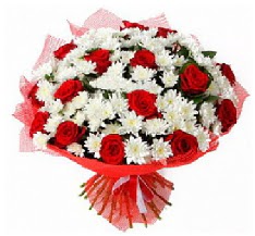 11 adet k�rm�z� g�l ve 1 demet krizantem  Ankara �i�ek sipari�i vermek 