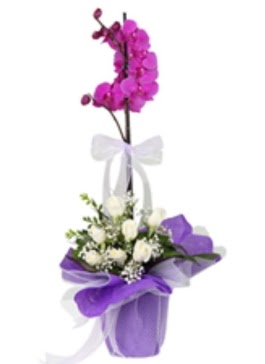 1 dal mor orkide ve 11 adet beyaz g�l  Ankara �i�ek�i ma�azas� 
