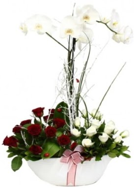 Tek dal beyaz orkide 8 beyaz 8 k�rm�z� g�l  Ankara �i�ek , �i�ek�i , �i�ek�ilik 
