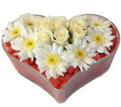 Kalp i�erisinde 7 beyaz g�l ve papatyalar  Ankara hediye sevgilime hediye �i�ek 