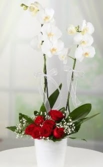 2 dall beyaz orkide 7 adet krmz gl  Ankara ieki maazas 