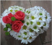 3 adet k�rm�z� g�l mika kalptte papatyalar  Ankara hediye sevgilime hediye �i�ek 