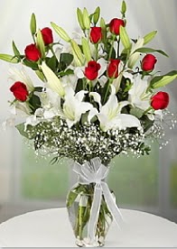9 adet k�rm�z� g�l 3 dal kazablanka  Ankara �i�ek g�nderme 