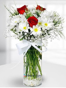 3 k�rm�z� g�l ve krizantemler camda  Ankara �i�ek sipari�i vermek 