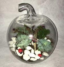 K���k terrarium elma 3 kakt�s  Ankara �i�ek sipari�i vermek 