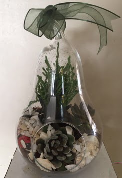 Orta boy armut terrarium 3 kakt�s  Ankara cicek , cicekci 