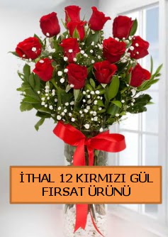 �thal k�rm�z� 12 adet kaliteli g�l  Ankara �i�ek sat��� 
