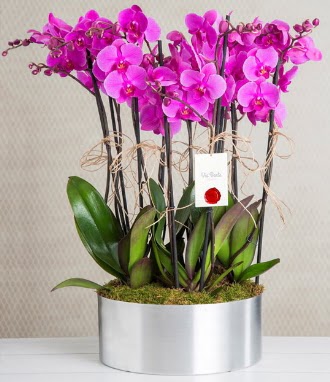 11 dallı mor orkide metal vazoda  Ankara İnternetten çiçek siparişi 