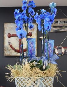 4 dall zel mavi orkide  Ankara iek maazas , ieki adresleri 