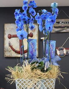 4 dall� �zel mavi orkide  Ankara �i�ek ma�azas� , �i�ek�i adresleri 