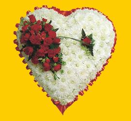 Ankara �i�ek yolla , �i�ek g�nder , �i�ek�i   1.20m x 1.20m  Gerbera G�ller