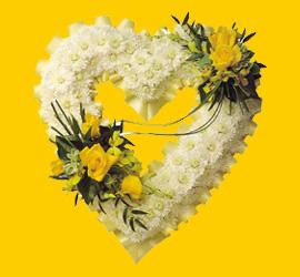  Ankaraya �i�ek yolla  1.20m x 1m  Gerbera - G�ller