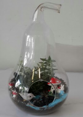 Armut orta boy cam terrarium  Ankarada �i�ek g�nderme sitemiz g�venlidir 