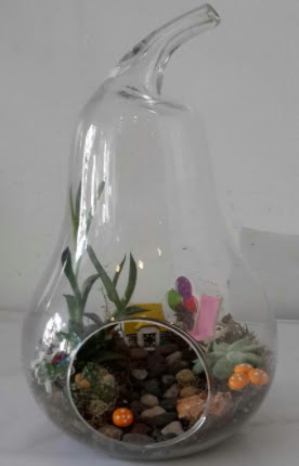 Orta boy cam armut terrarium  Ankara �i�ek , �i�ek�i , �i�ek�ilik 
