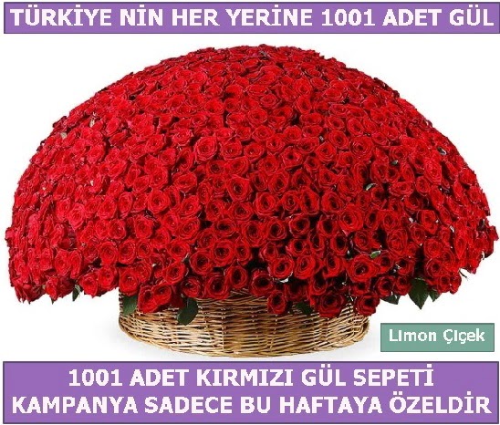 1001 Adet k�rm�z� g�l Bu haftaya �zel  Ankarada �i�ek g�nderme sitemiz g�venlidir 